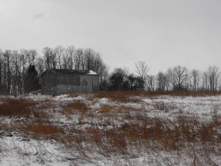 Dead of Winter